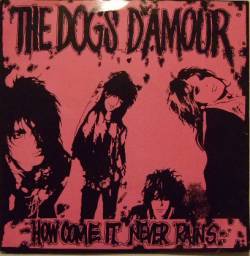 Dogs D'Amour : How Come It Never Rains